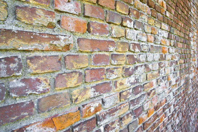 Damaged Brick Repair