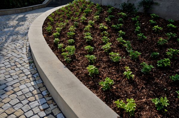 Retaining Wall Repair in Georgetown