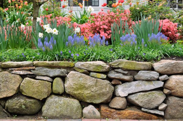 Stone Wall Hardscaping in Georgetown