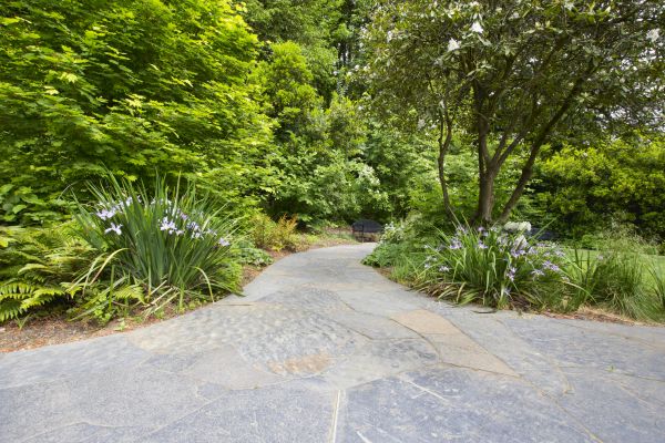 Stone Hardscape Service in Georgetown
