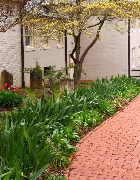 Brick Flatwork Repair in Georgetown